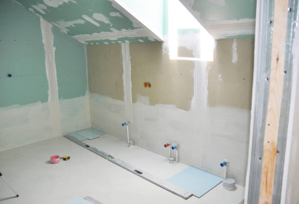 Mold Odor Removal Services in Maple Park, IL