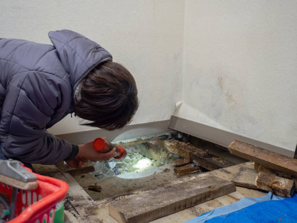Best Post-Remediation Verification Testing  in Maple Park, IL