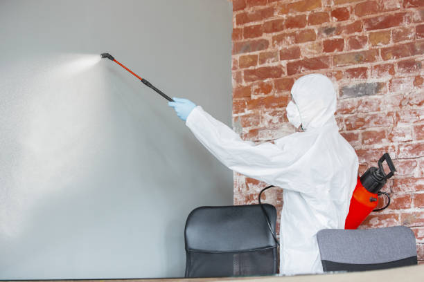 Best Forensic Mold Investigation  in Maple Park, IL