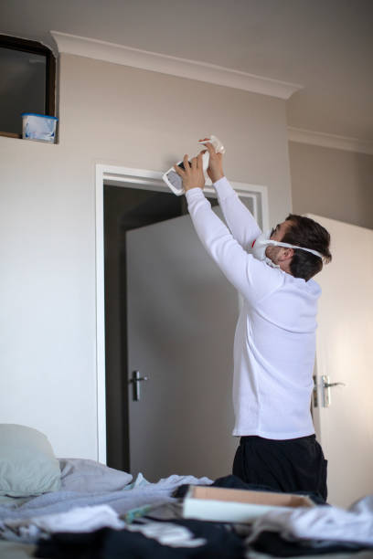 Best Water Damage & Mold Remediation  in Maple Park, IL