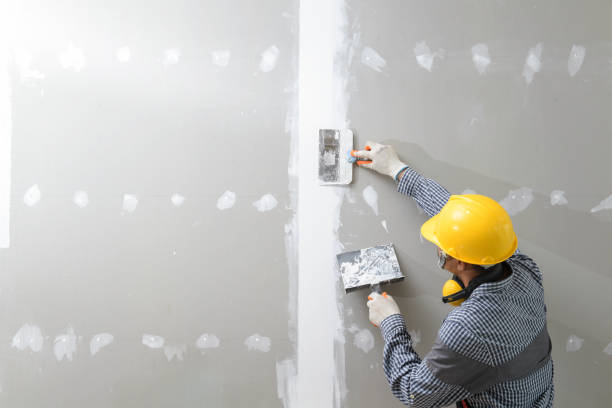 Best Airborne Mold Testing  in Maple Park, IL