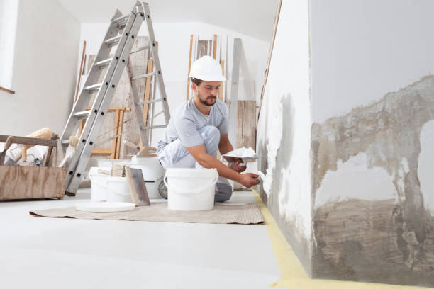 Best Emergency Mold Remediation  in Maple Park, IL