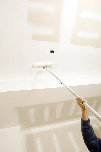 Best Dehumidification Services  in Maple Park, IL