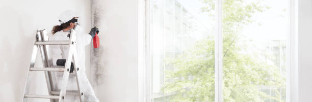 Best Indoor Air Quality Assessment  in Maple Park, IL